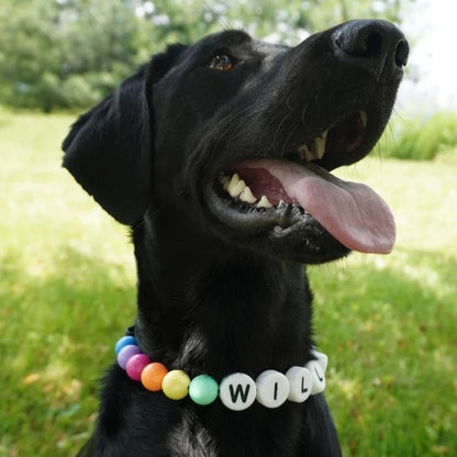 Custom Dog Collar With Bracelet Set